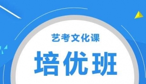 太原藝考文化課沖刺培訓機構文化課一對一輔導價格多少錢？ ... ... ... ...