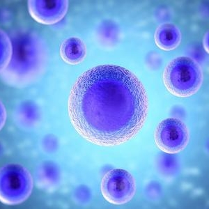太原高考輔導-高中生物必修一必考知識點總結