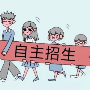 太原自主招生輔導, 自主招生補習機構