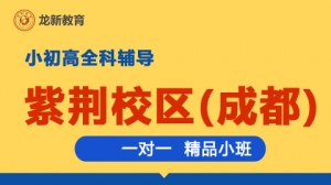 成都龍新教育一對一 個性化輔導(dǎo)（紫荊校區(qū)）