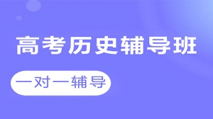 朔州高考?xì)v史一對(duì)一輔導(dǎo)機(jī)構(gòu)-工大教育