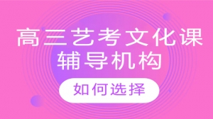 朔州高三藝考文化課沖刺班